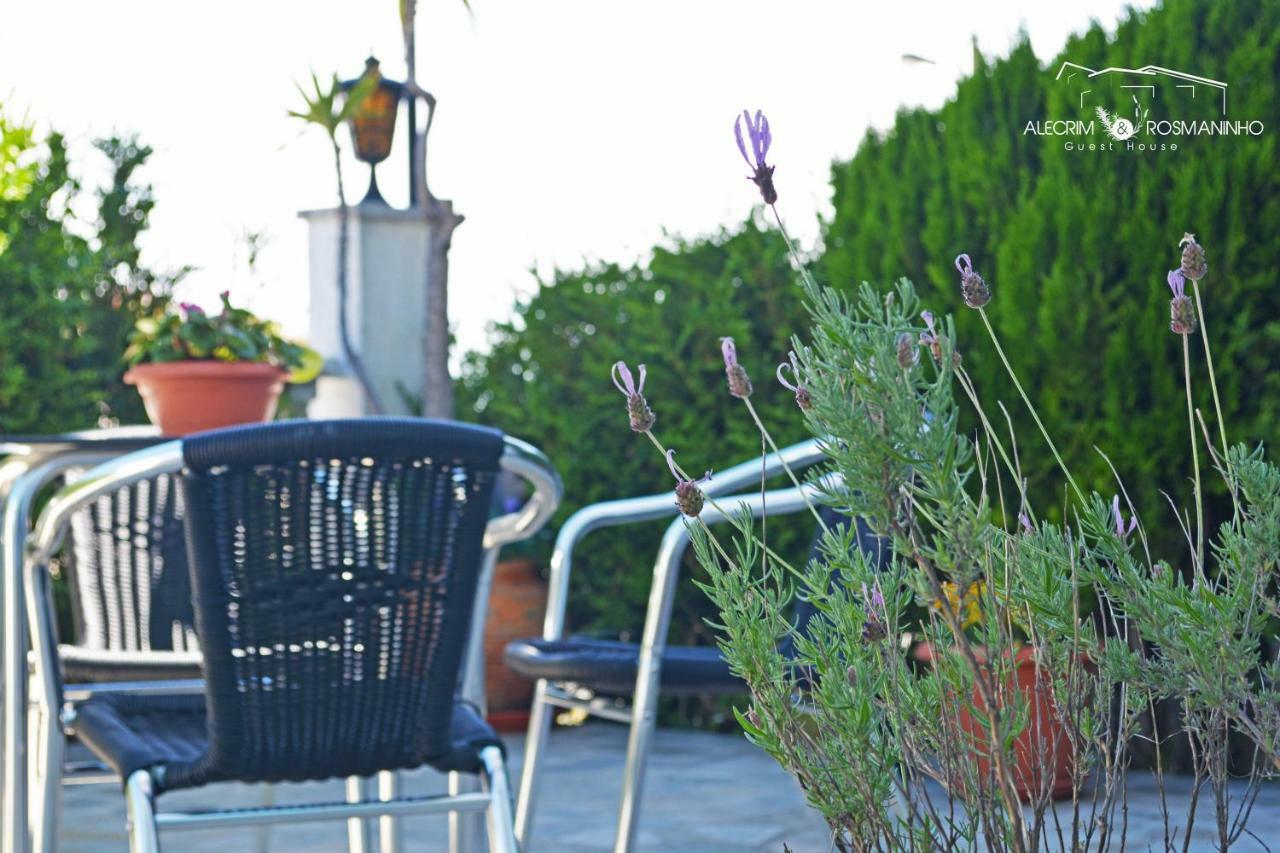 Alecrim Rosmaninho Guest House Pinhel Exteriér fotografie